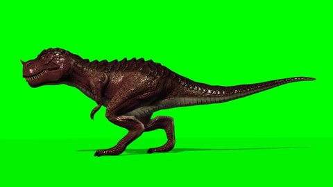 T Rex Dinosaurier  walk - seperated on green screen 