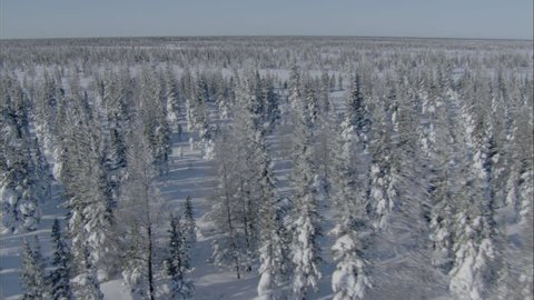 Frozen Tundra. Aerial shot of a vast frozen expanse of flat land with scattered trees.