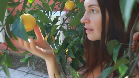 woman picking up a fresh orange from tree