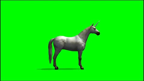 Unicorn Horse run - seperated on green screen 