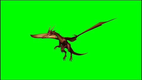 Dragon in fly - seperated on green screen 