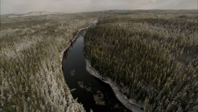Arctic Tundra Forest. Aerial footage of the arctic tundra and a vast forest filled with snow covered trees.