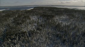 Aerial Footage Arctic Tundra. Aerial footage of the vast arctic tundra. Snow covered pine trees cover the landscape.