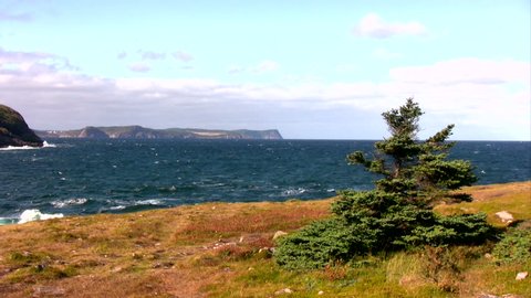 Typical look of Newfoundland, Canada Coast Line during the Fall.