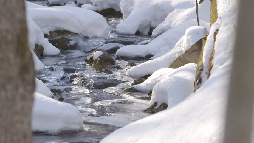 Frozen brook revealed within the Muskokan forest. (Tilt)
