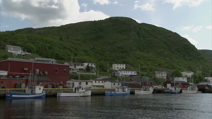 Shoreline of St. John harbour.