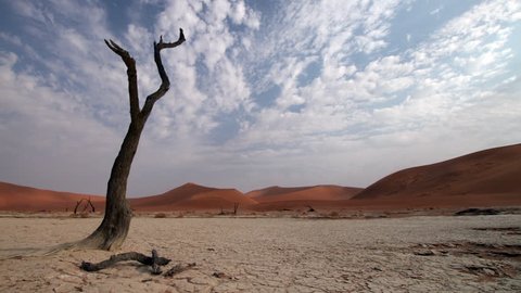 Cloud time lapse over parched tree in the dried up lake at Dead Vlei in Namibia.