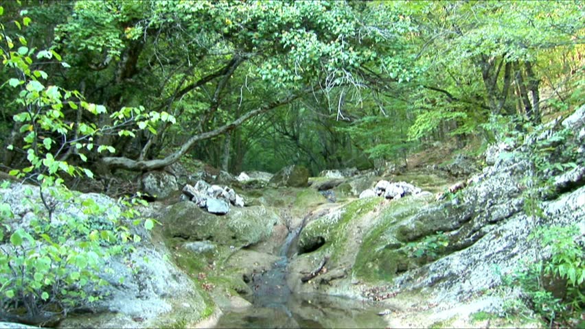 Stream in the autumn for.