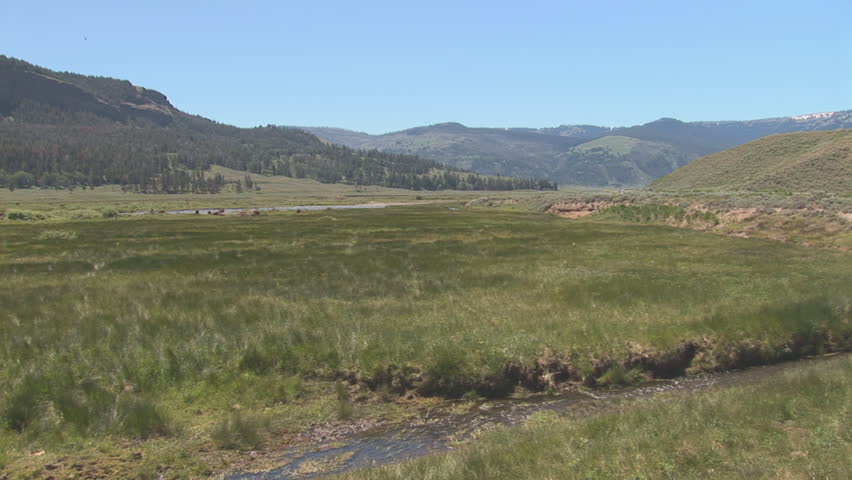 Wide of Lamar Valley in Yellowstone National Park