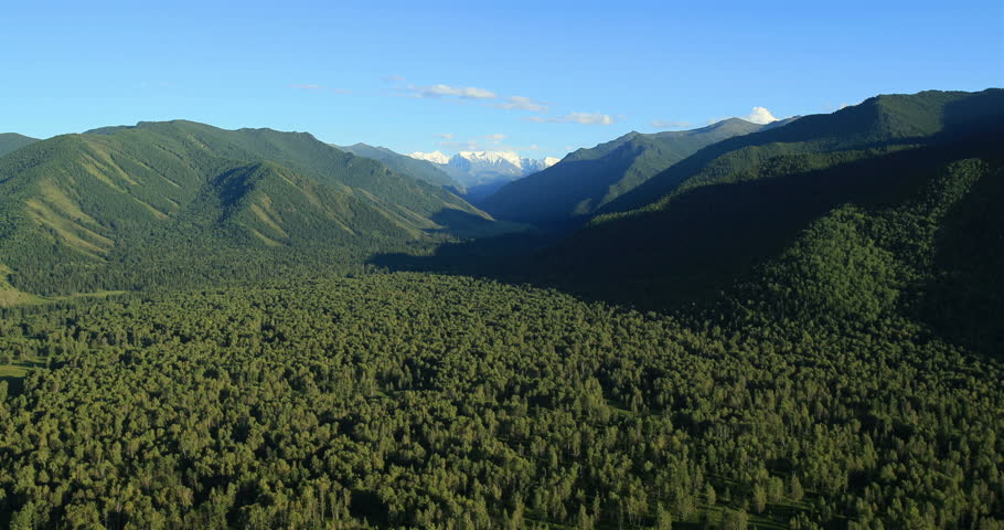 Flight over the mountains. Altai. Siberia. Flying over the river. Forest Valley