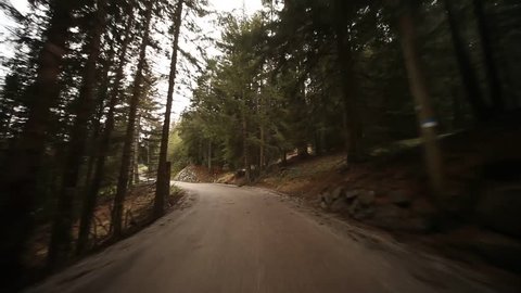POV Video footage of driving on a countryroad in forest with mountains in south tyrol, Italy drive through the fog pov time lapse