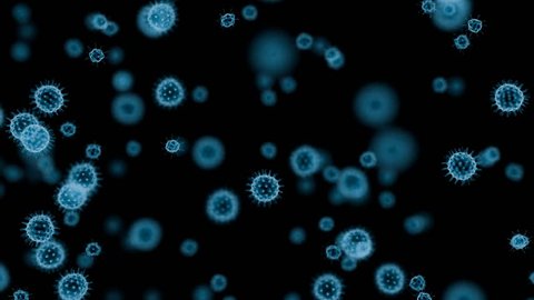 4K with alpha, high definition microbiology, viruses under microscope, popular scientific background (Hd, seamless loop, 3840 X 2160, ready for compositing, isolated on black)