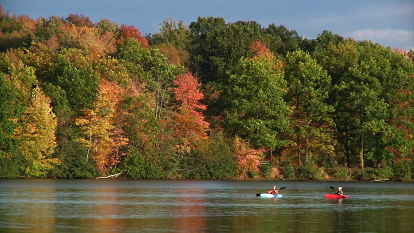Kayakers on a lake.