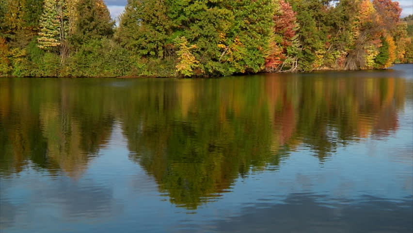 Fall foliage in Western Pennsylvania.