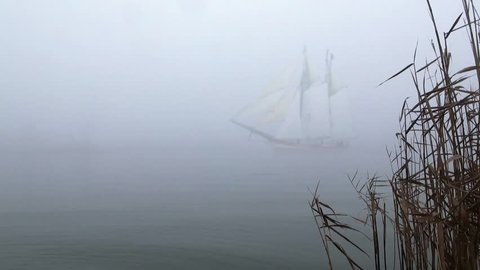 Sailboat full sail comes up out fog