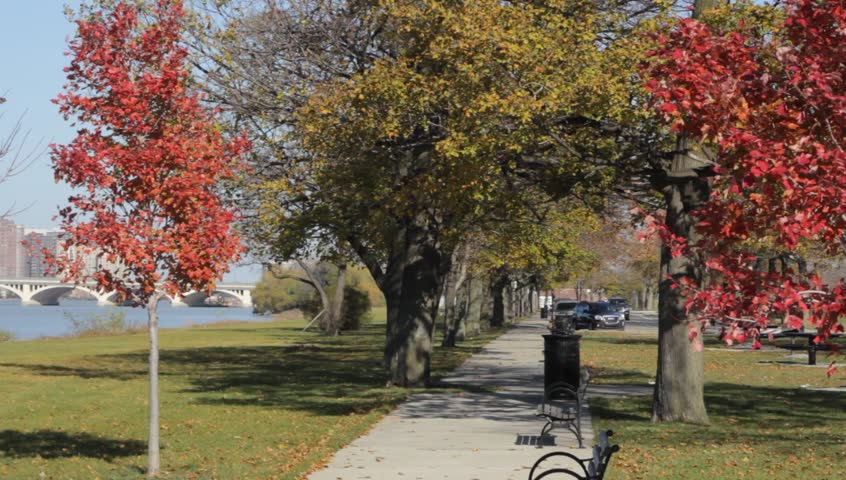 Trees with Fall Color Leaves Line the Path Through a Park Adjacent to the Lake near Detroit Mi.