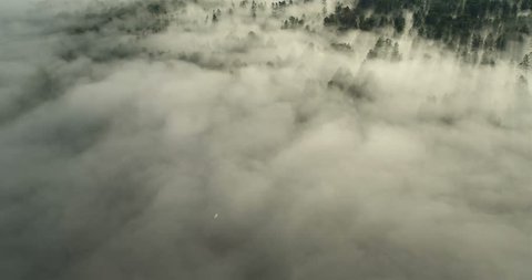 Flight over the Mountains. Altai. Siberia. Flying over the River. Forest Valley. Morning Fog
