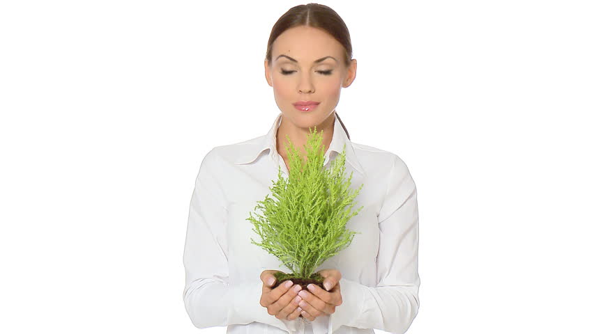 Beautiful young businesswoman is holding tree seedling 