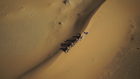 WS POV ZO Tuareg man with camel train in desert at Morocco