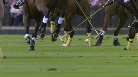 Slow Motion footage of a Polo match with running horse hooves & polo mallets attempting to hit the ball