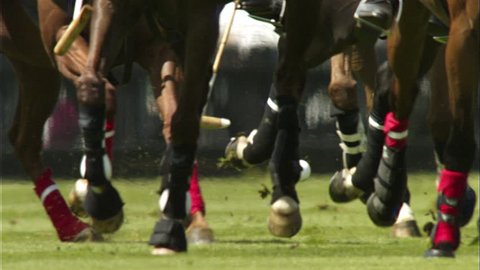 Slow motion shot of a crowd of horse hooves as they chase after a bouncing ball, during a polo match