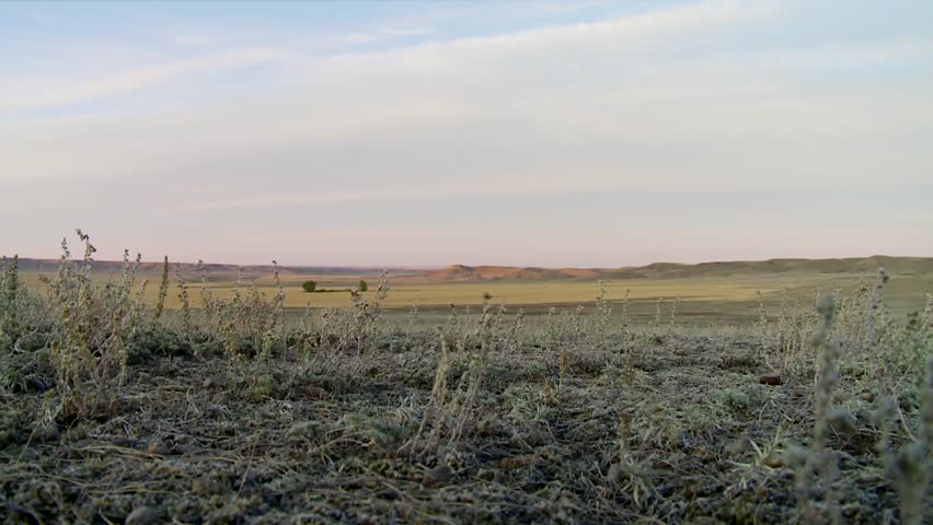 Sprawling plains of Saskatchewan.