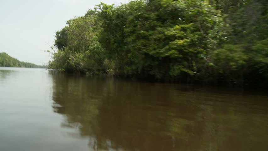 Smooth scenic view of a tropical river from a boat