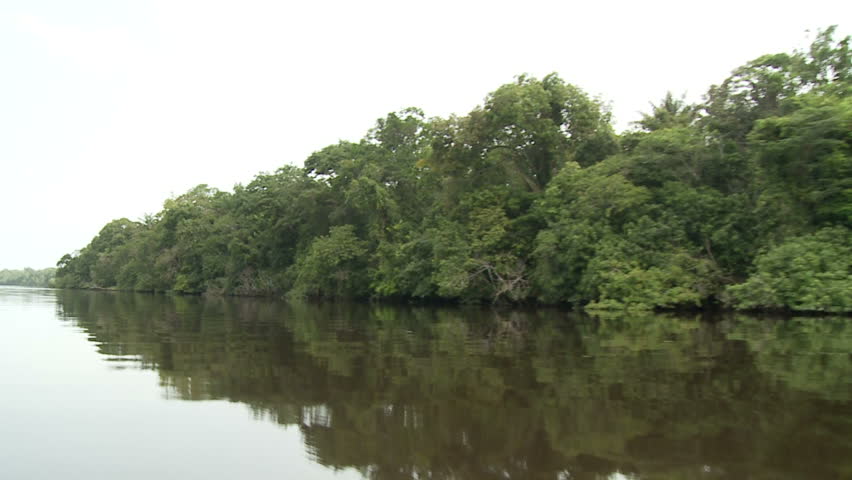 Smooth scenic view of a tropical river from a boat