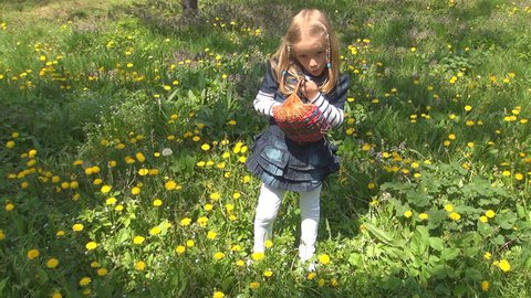 Little Girl, Kid Picking Dandelion Flowers in Park, Child Playing on Meadow, Field, Children