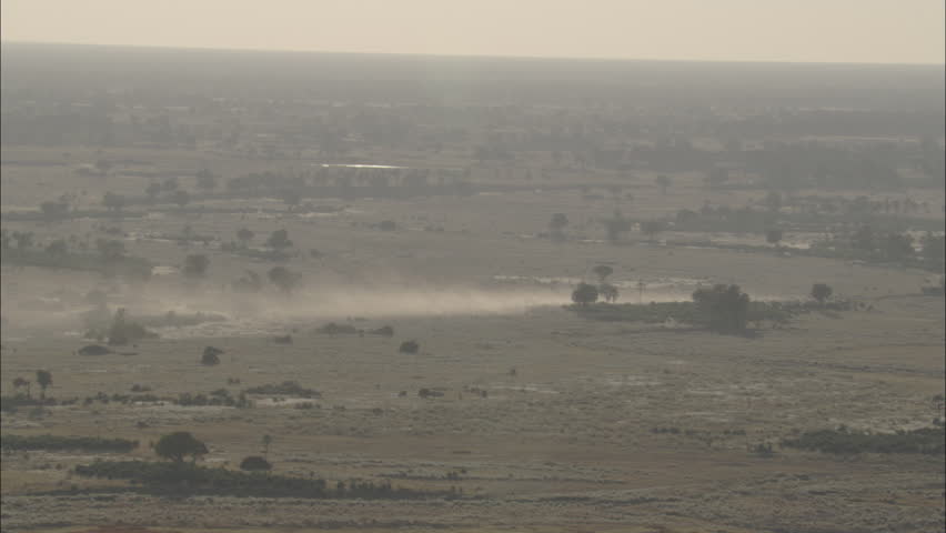 Savanna Africa Trees. The scene captures a desolate savanna in Africa. Trees litter the region.