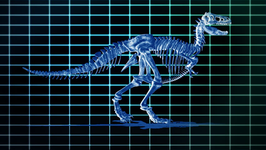 Dino T-Rex walking EKG background,loop