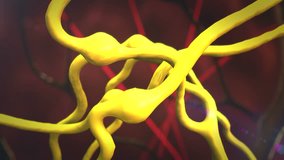   Neurons and neural system, Active nerve cell in human neural system, Neuron Impulses, Neuron cells,  3d rendered video of a neuron cell network, Urinary System, Human Internal Organ, 