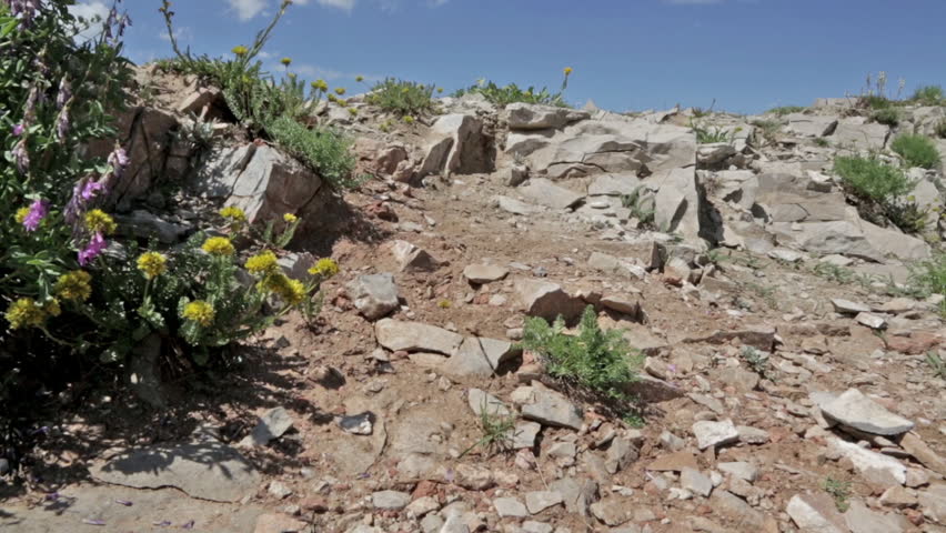 Two mountain bikers cross rocky ridge with Teton Valley, ID in background