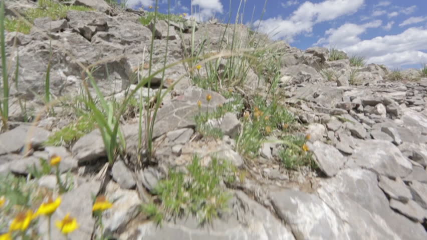 A mountain biker in slow motion biking across a rocky ridge in Idaho