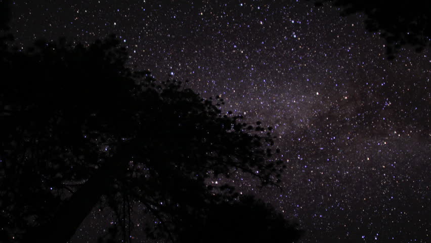 Startrails Forest 04 Timelapse Lassen National Park