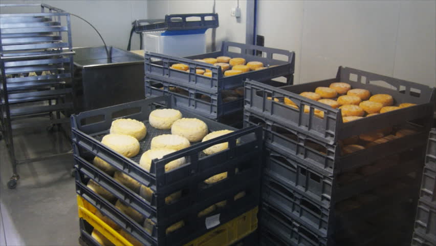 Racks of freshly washed cheese | Shutterstock HD Video #5558366