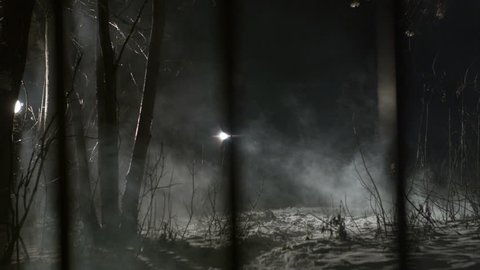 Man in woods at night with flashlight