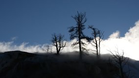 Yellowstone in Winter at Sunset - High Definition Video 1080
