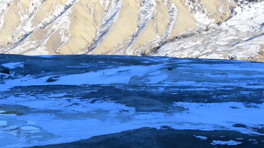 Wild Coyote sleeping near the Geyser - Yellowstone in Winter at Sunset - High Definition Video 1080