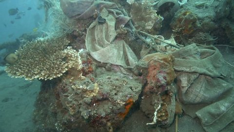 Nylon bags and other discarded human garbage permanently tangled onto coral reef in Amed, east Bali