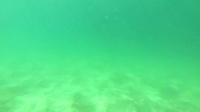 Video 1920x1080 - Underwater view of the sandy bottom in front of the beach