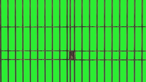 Animation of Closed Jail bars. HQ Video Clip with Green Screen and Alpha Channel 