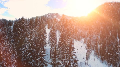 snow winter trees. woods forest landscape. beautiful nature. aerial view. sunset dusk