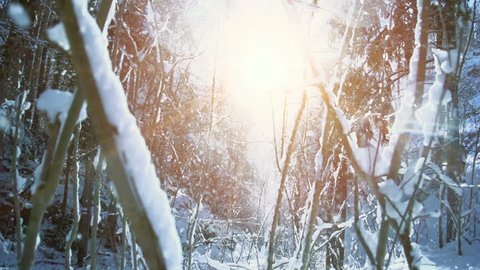 snow winter forest. trees woods. snowing snowy. sunset dusk sunshine. nature. slow motion. winter background. romantic wonderland. beautiful environment : film stockowy