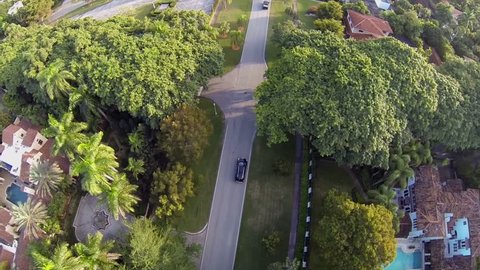 Neighborhood in historic Coral Gables, Florida.  Arkivvideo