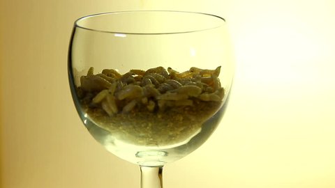 maggots crawling in wineglass