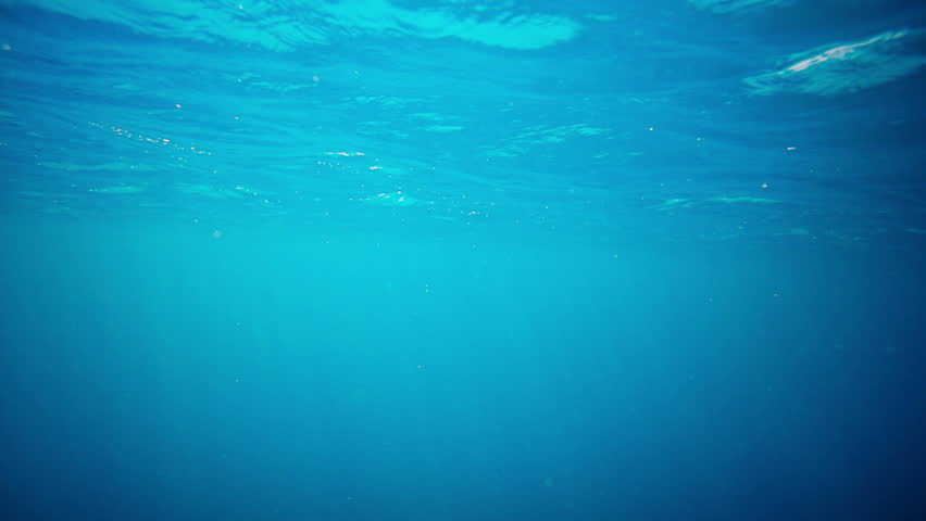Just under water