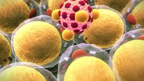 fat cell and  Macrophage, field of  fat cells, High quality 3d render of fat cells,  cholesterol in a cells, lungs cells