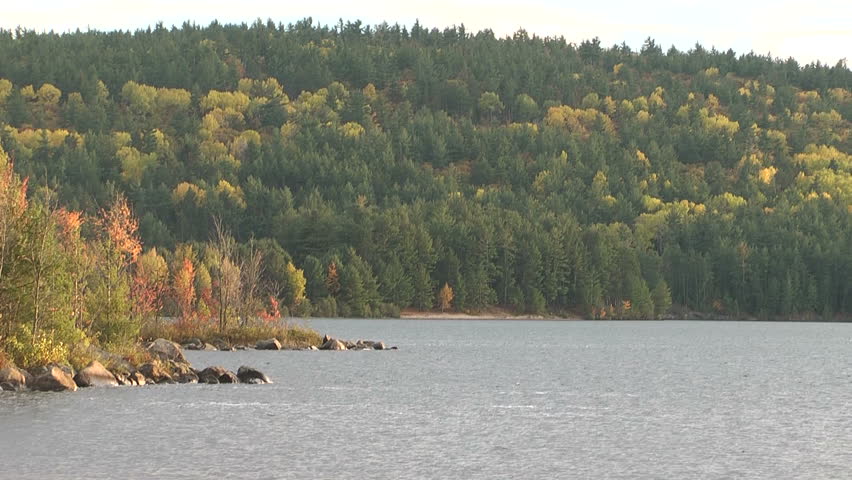 Lake in fall forest. Algonquin Nature Park, Ontario, Canada