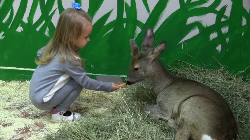 Sissy Island Petting Zoo